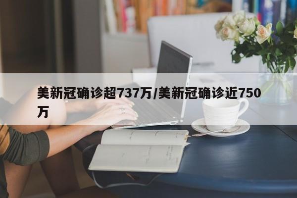 美新冠确诊超737万/美新冠确诊近750万
